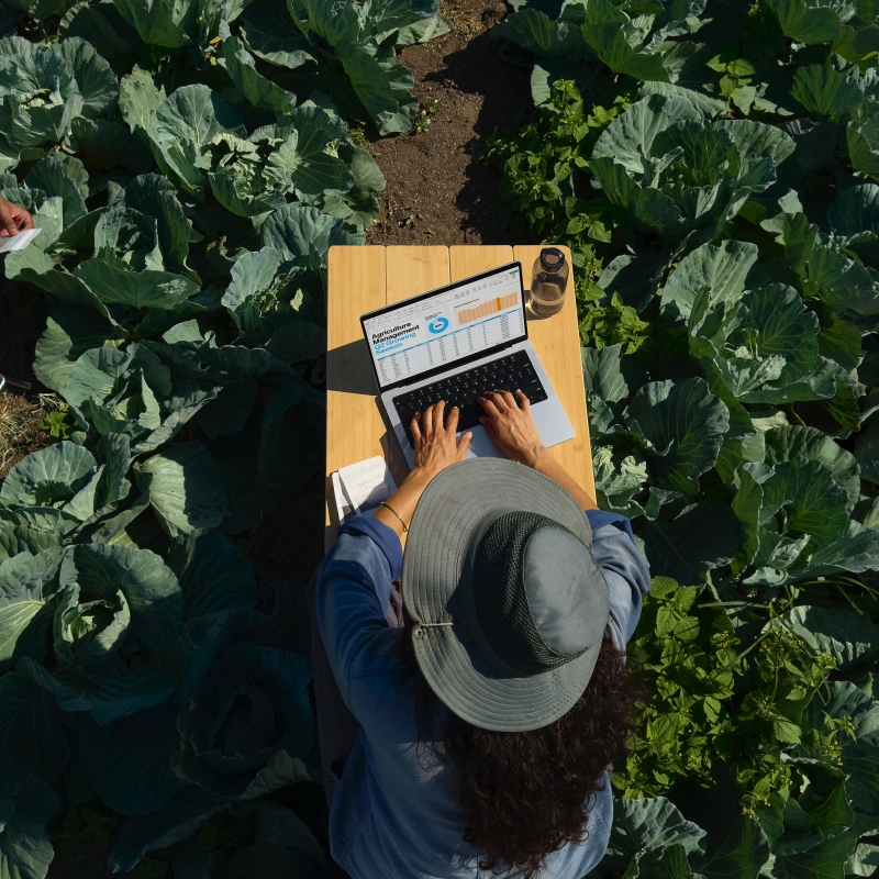 Apple MacBook Pro 16" (2024) 512Gb Silver (MX2U3) (M4 Pro 14C CPU/20C GPU, 48 ГБ, 512 ГБ SSD). Фото 8
