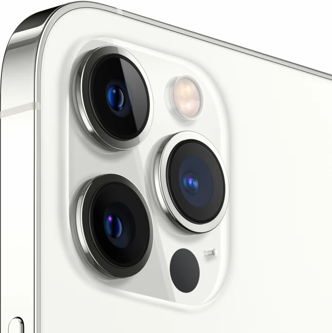 Смартфон Apple iPhone 12 Pro 256Gb Silver (Dual SIM)