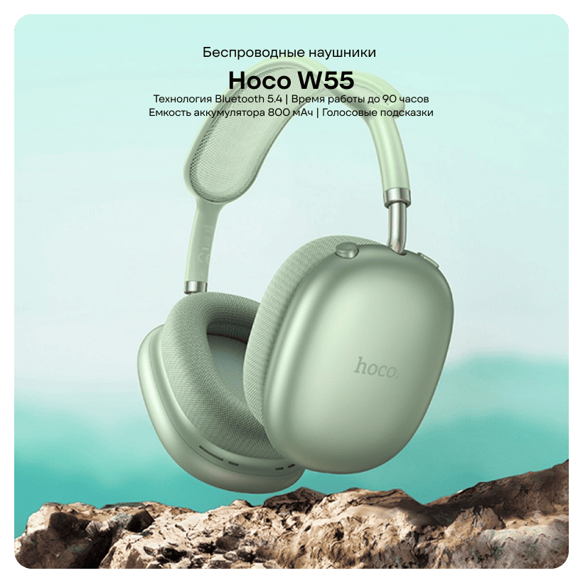 Hoco-W55-01