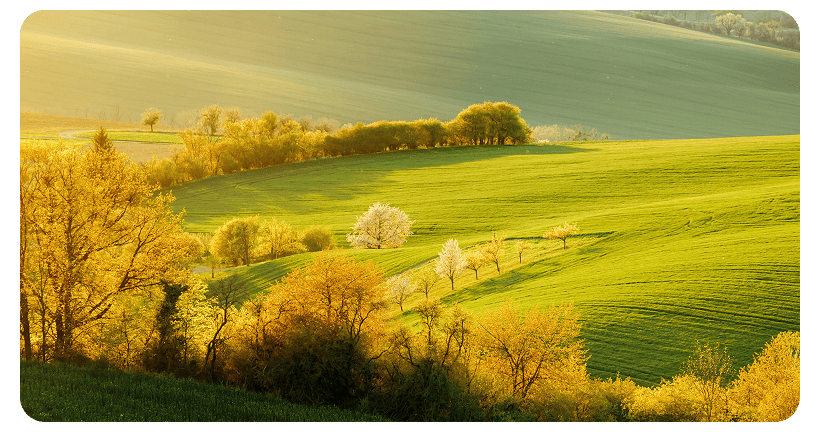 Honor-MagicBook-X16-Ultra-HD-Edition-2025-04