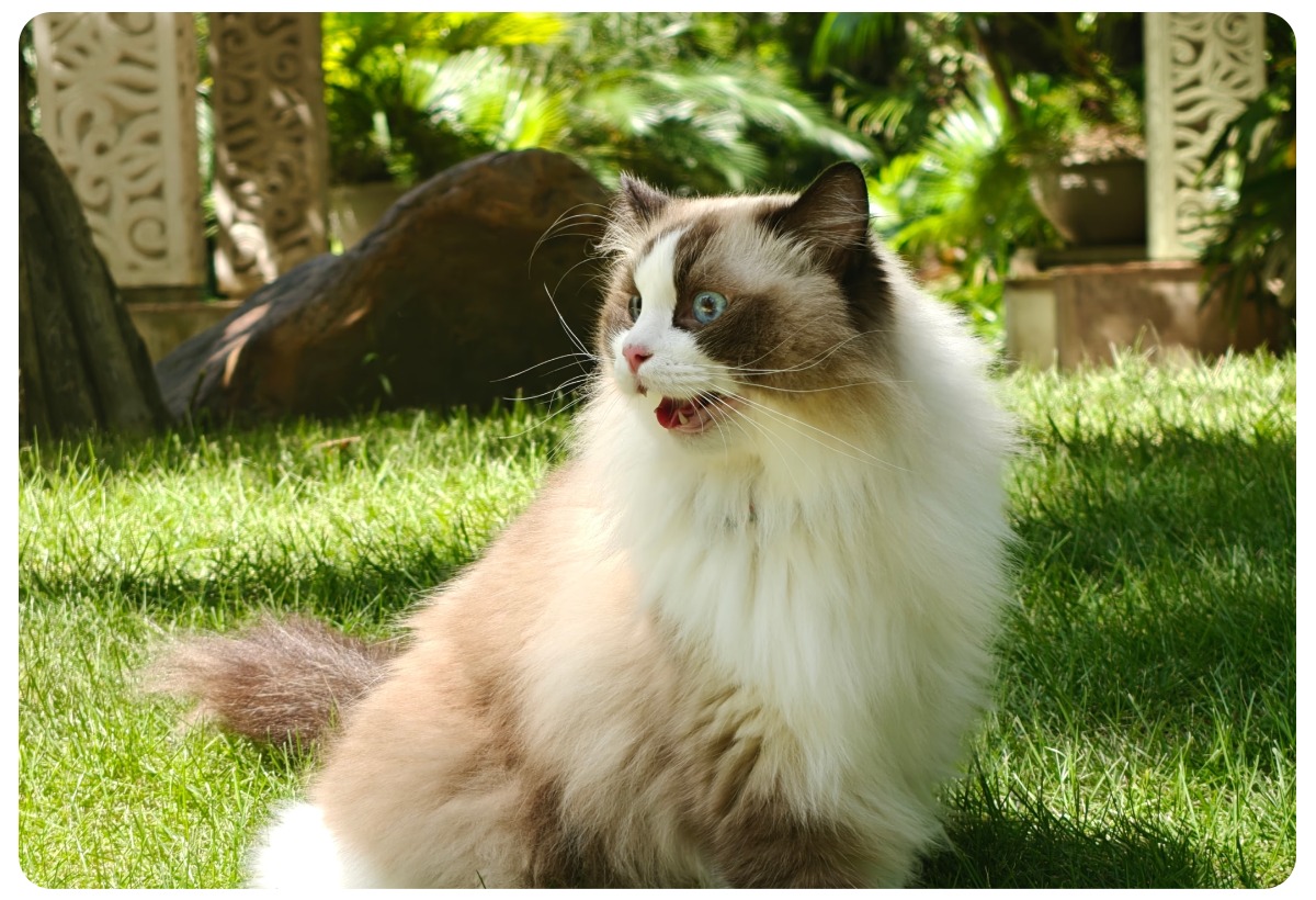 oneplus-13r-bolee-legkaya-model-07