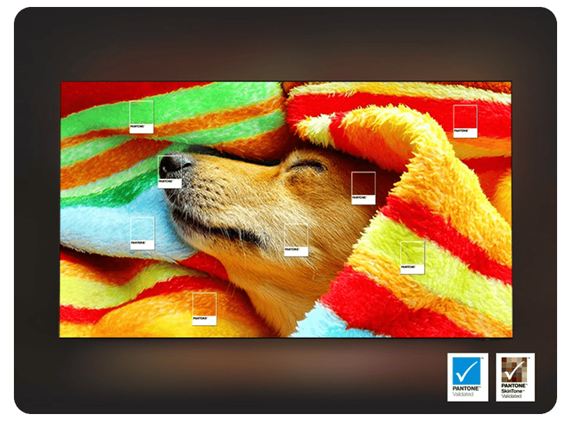 Samsung-65-Neo-QLED-4K-QN85F-06